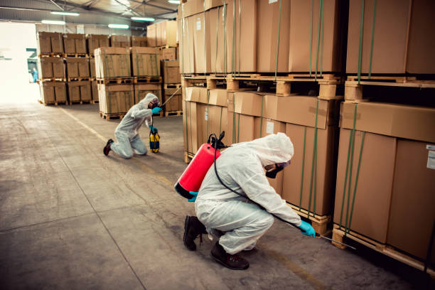 Best Wildlife Control Services  in Sun Prairie, MT