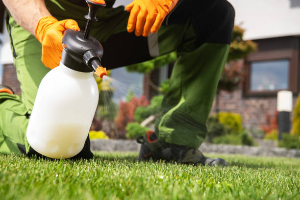 Wasp Removal Services in Sun Prairie, MT