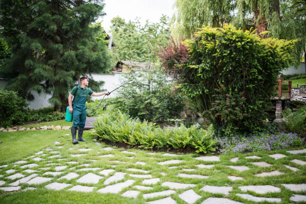 Best Affordable Pest Control Services  in Sun Prairie, MT