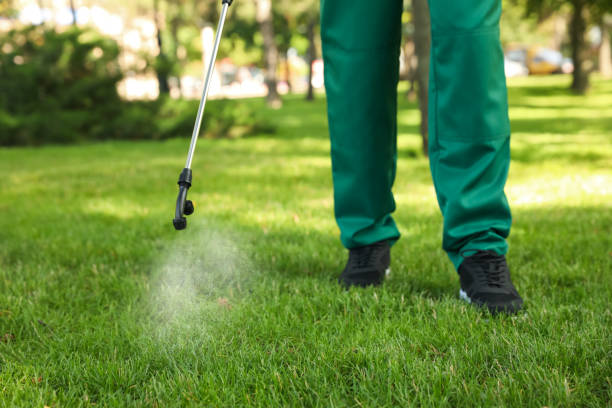 Best Exterminator Services  in Sun Prairie, MT
